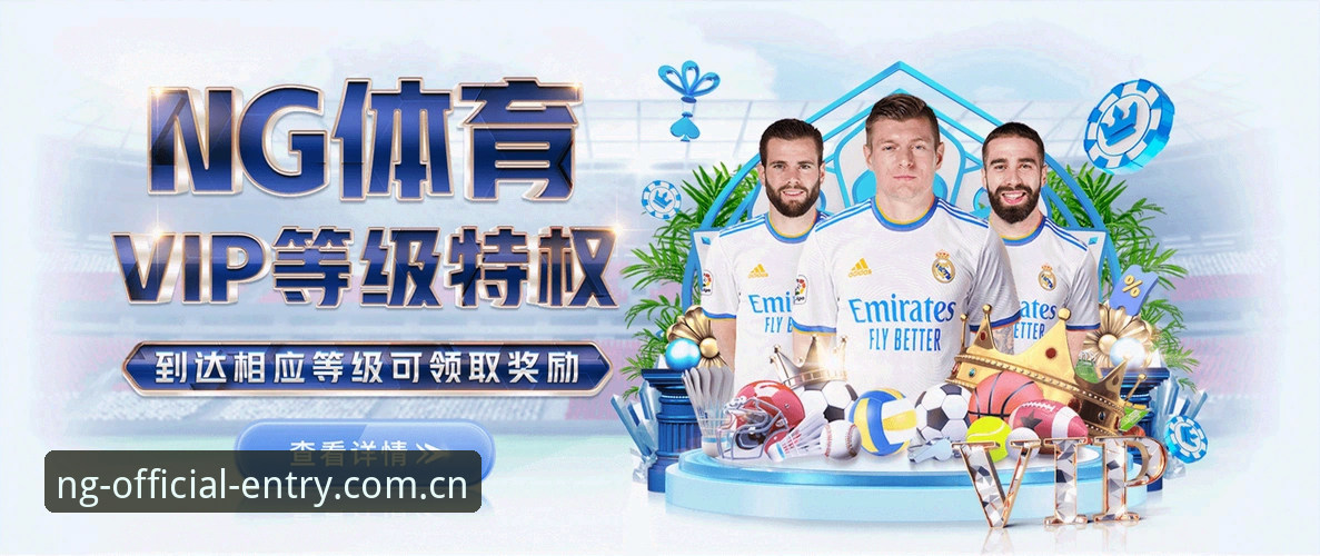 NG体育下载安装教程：全平台部署实用指南，从入门到精通